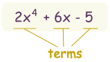 polynomial example