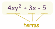 polinomial contoh