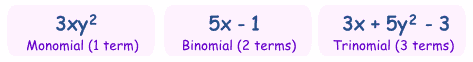 monomial, binomial, trinomial