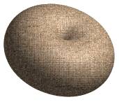 Torus Cushion Illustration