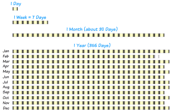 Day Week Month Year. Tom says each month in the diagram has the correct