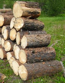 log stack