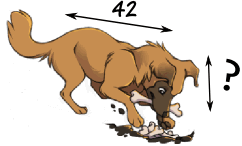 proportion dog