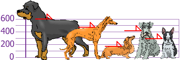 dogs on graph shoulder heights