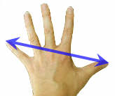 Handspan