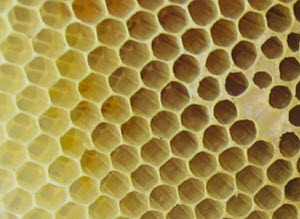 honeycomb hexagons