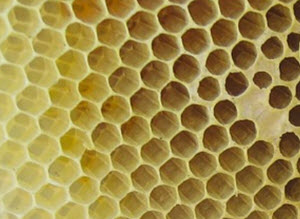 honeycomb