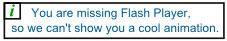 Needs Flash Player