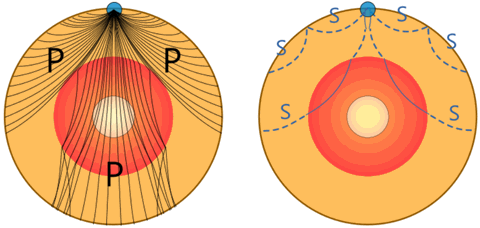 P and S seismic body waves, artwork - Stock Image - E360/0021