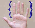 set of fingers